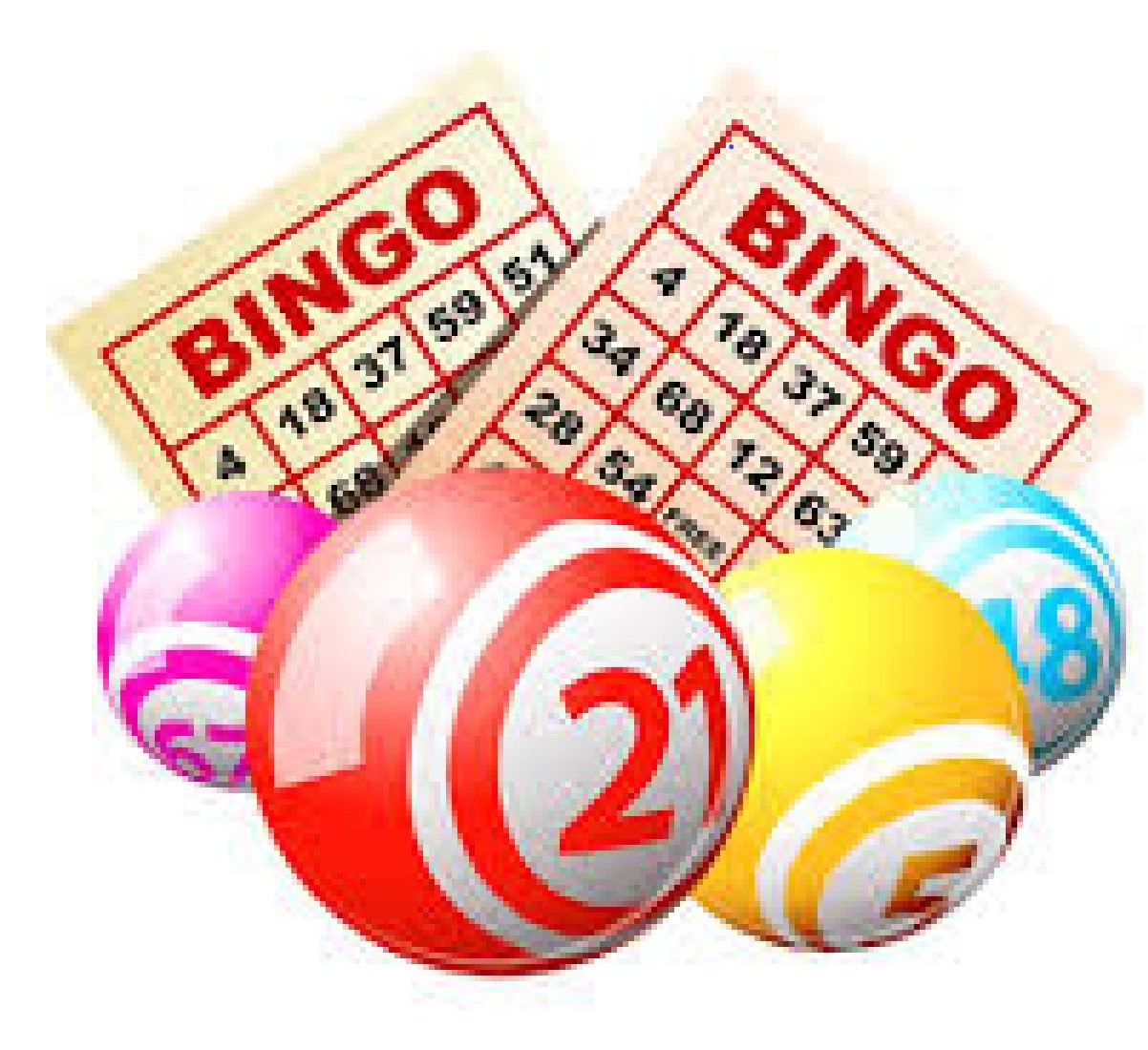 slots for bingo paga mesmo 2024